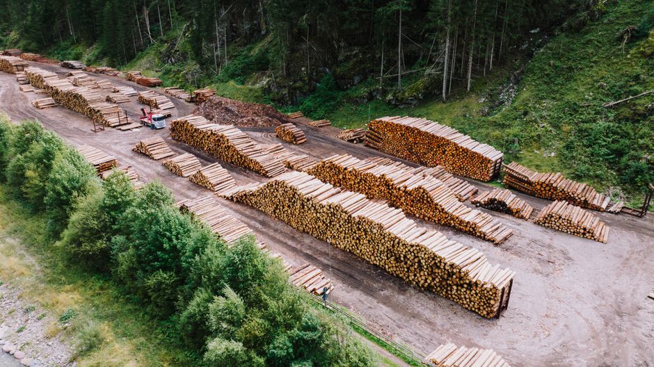 Miljørapporter: En Nødvendighet for Bærekraft